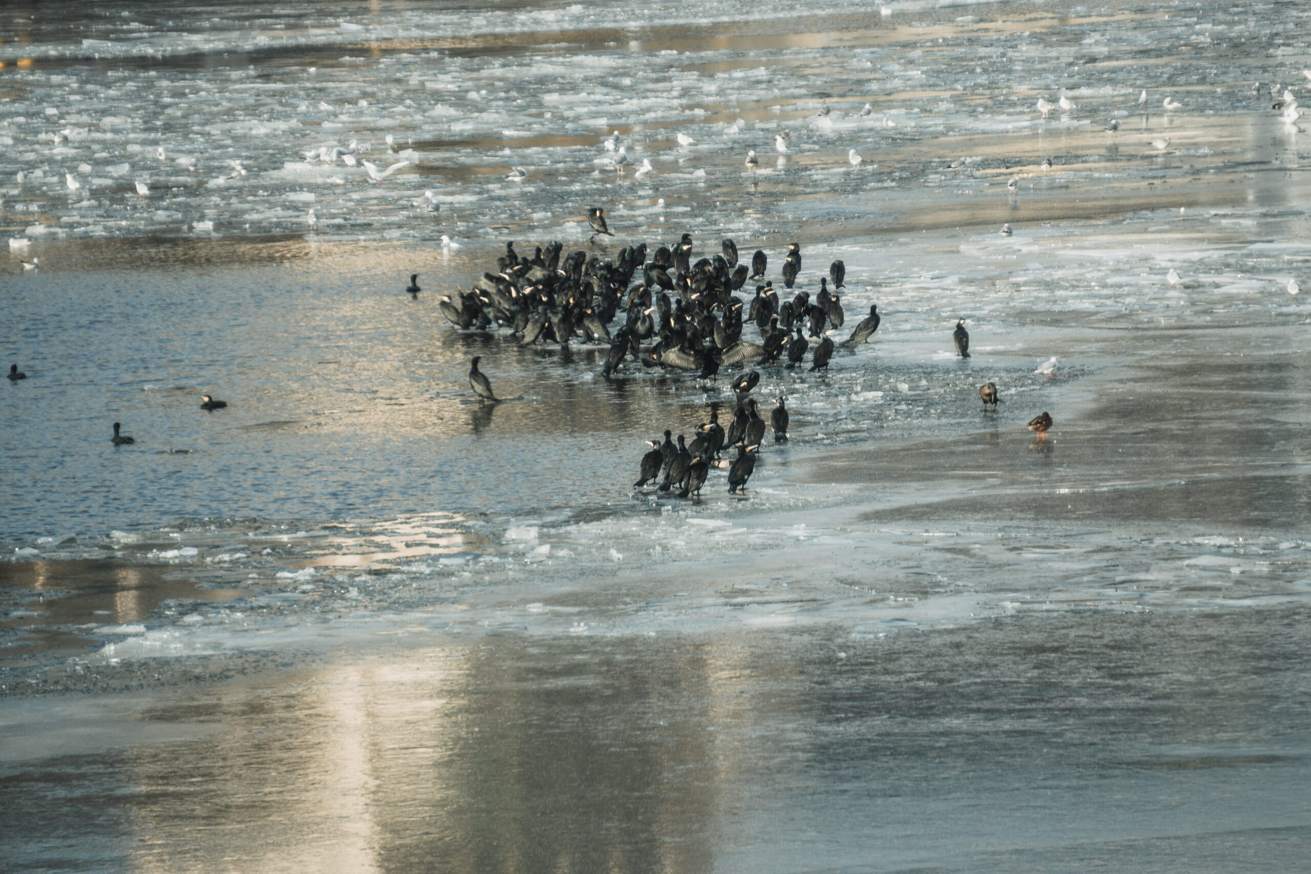 Uwaga a krytyczne myślenie. Co je łączy