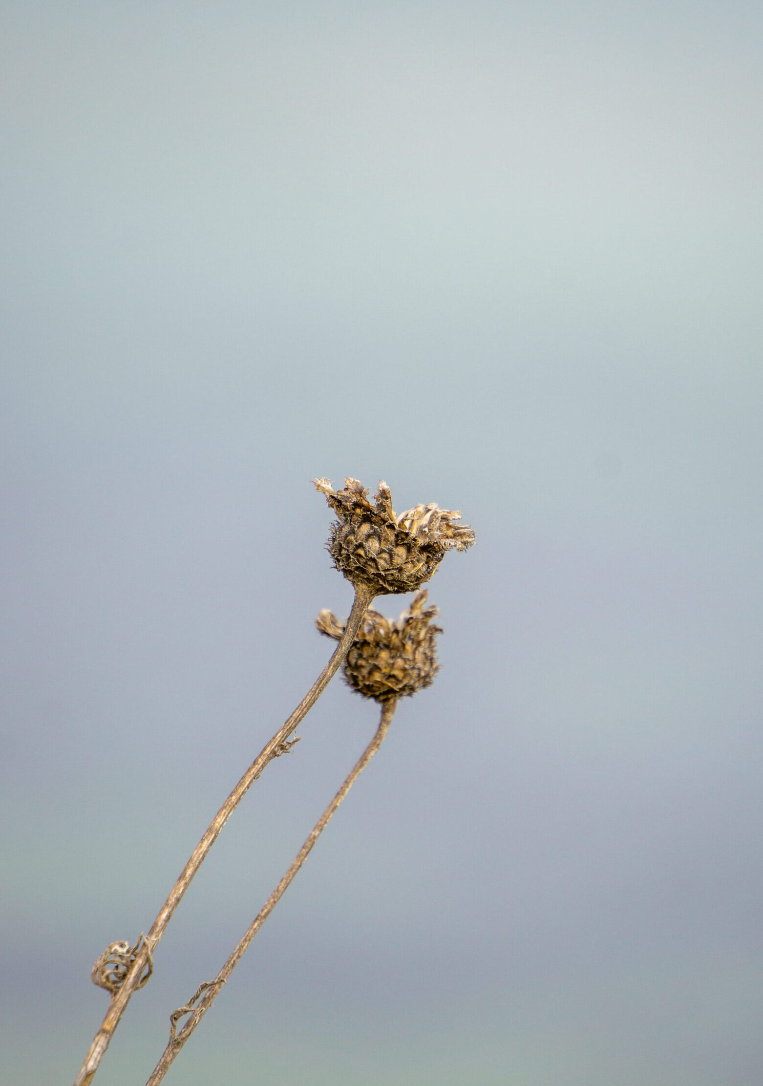 Myślenie obrazami. Dlaczego obrazy pomagają zobaczyć więcej niż same słowa